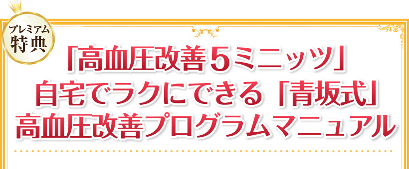 >「視力回復アイスマイル1.0　自宅でラクラク視力アップ法」マニュアル